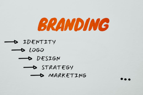 fredettecreativemedia.com